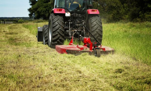 Brush Clearing Service in Berkeley