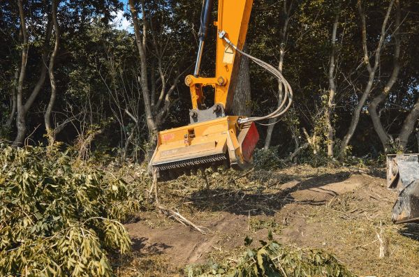 Brush Removal Service in Berkeley