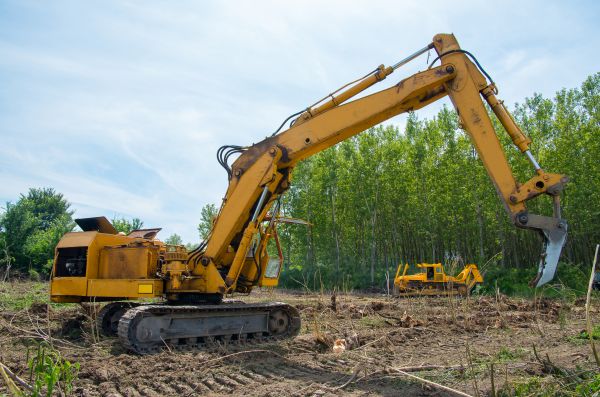 Cost of Farm Clearing in Berkeley