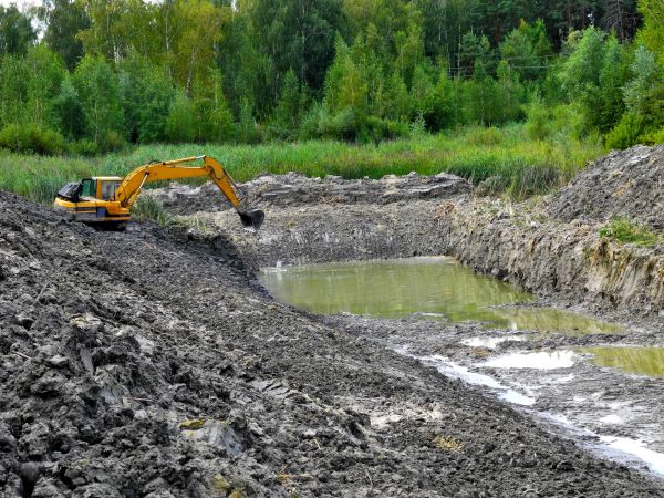 Cost of Lake Lot Clearing in Berkeley