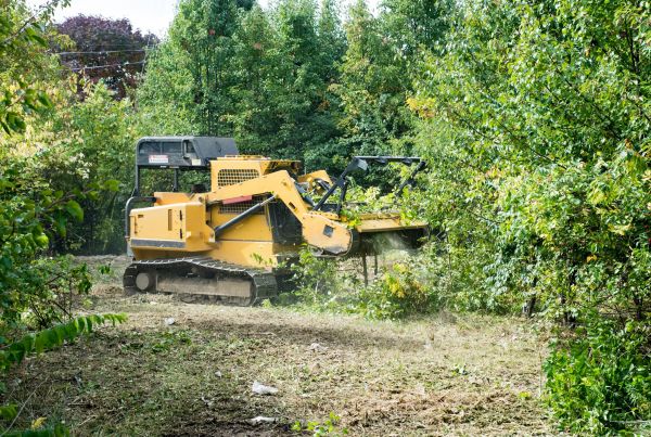 Cost of Pathway Clearing in Berkeley