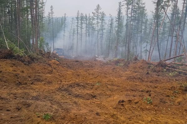 Cost of Hill Clearing in Berkeley