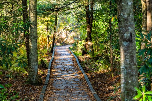 Cost of Trail Clearing in Berkeley