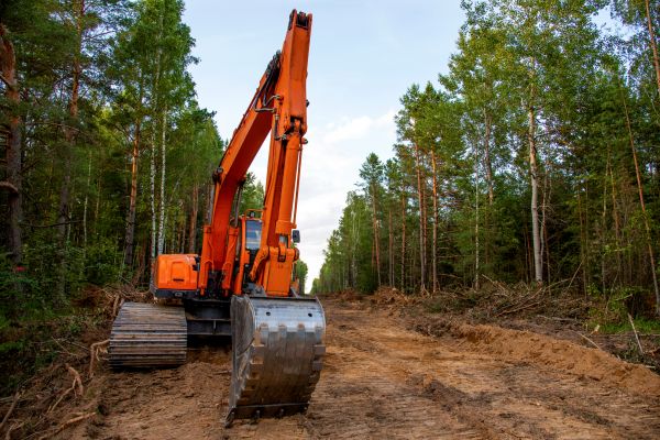 Cost of Backhoe Land Clearing in Berkeley
