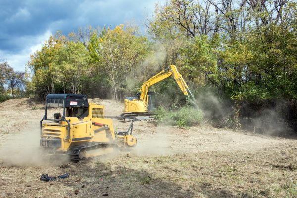 Cost of Terrain Clearing in Berkeley