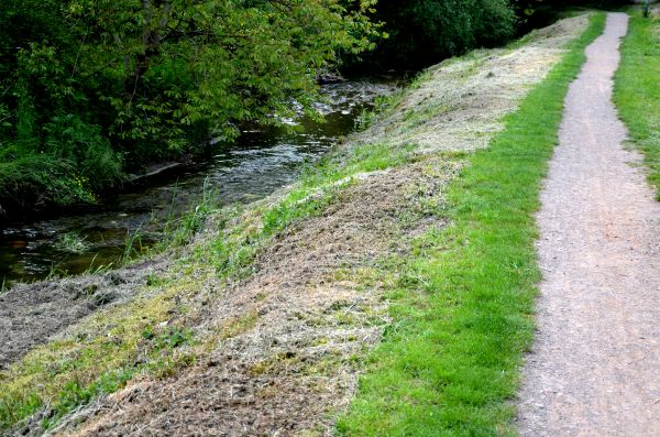 Cost of Trail Cutting in Berkeley
